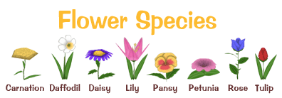 Flower Species